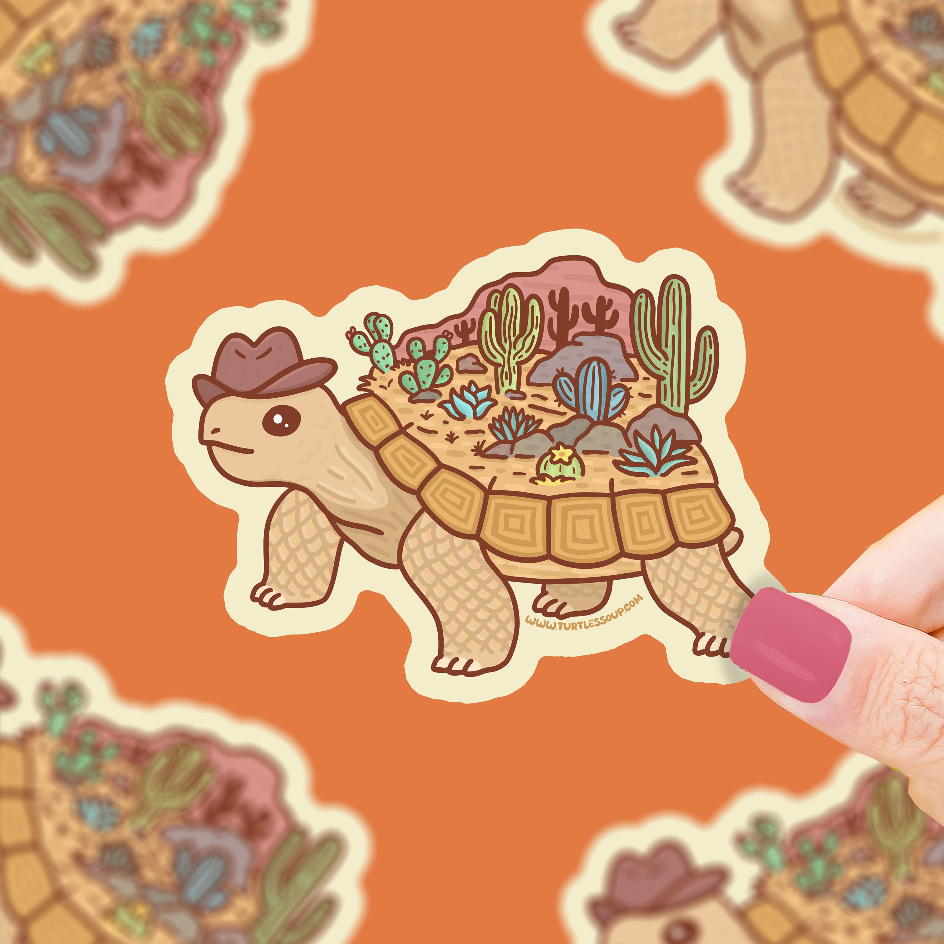 collection-banner-image
